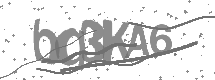 Doğrulama Kodu